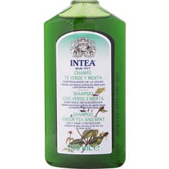 Intea Grüner Tee & Minze Shampoo fettiges Haar 250ml