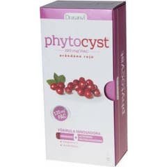 Phytocyst Arandano Rojo 250 Ml