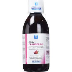 Nutergia Suplemento Ergycranberryl 250ml