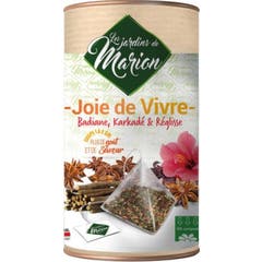 Les Jardins de Marion Té de Hierbas Joie de Vivr 110g