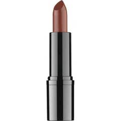 Ddp Rossetto Professionale 19