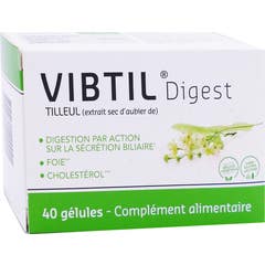 Vibtil Digest 40 Capsule