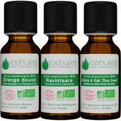 Voshuiles Kit Les 3 Aceites Esenciales Indispensables Bio