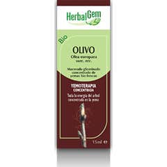 HerbalGem Olivo 15 ml