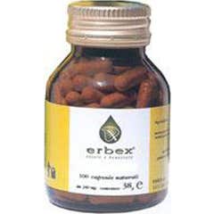 Erbex Hinojo 380 mg 100 caps