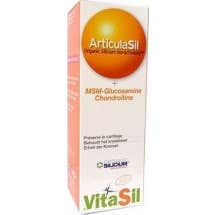 Vitasil Articulasil Msm Gel 100ml