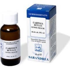 Sarandrea Carpinus Betulus Gemmoderivato 60ml