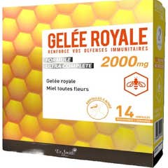 Dr Smith Expert Gele Roy Bio Amp14