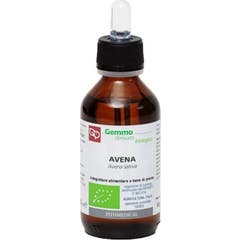 Fitomedical Avena Macerada Glicerinada 100ml