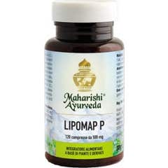 Lipomap P 120 comp