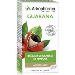 Arkopharma Arkogélules guarana 45 gélules