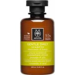 Apivita Daily Use Shampoo 250ml