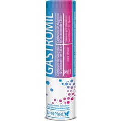 DietMed Gastromil Reflux 20 kopert