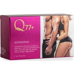 Q77+ Comprimidos quemagrasas 60cáps