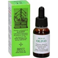 Alkaest Mgs12 Olivo Macerato Glicerico 20ml