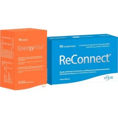 Vitae Reconnect 90 comp + EnergyVita 10 sticks