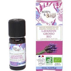 Born To Bio Aceite Esencial Lavandin Grosso Bio 10 ml