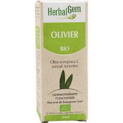 Herbalgem Macer Mer Bio Olivie30ml