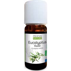 Propos Nature Olio Essenziale Biologico Eucalipto Radiata 10ml