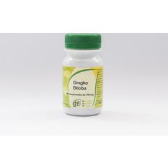 GHF Gingko Biloba 700mg 100 Tabletten