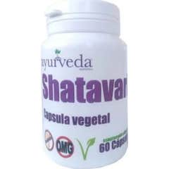 Ayurveda Shatavari 60caps Ayurveda Shatavari 60caps