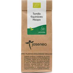 Josenea Tijm, Echinacea en Hysop BIO 10-piramiden