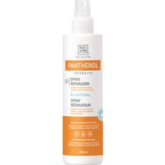 Soivre Panthenol 6% spray reparador piel 250ml