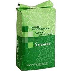 Plameca Semi di Lino Interi Semi d'Oro 1 kg