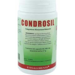 Condrosil 60Cps