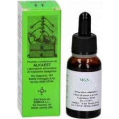Alkaest mgs20 glicerina Macerada Lima 20 ml
