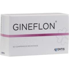 Azentis gineflon 60 comp