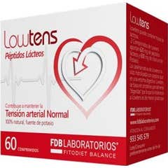 FDB Vitamin D3 4000Ui 60 Perlen