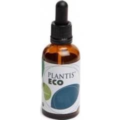 Plantis Thyme z alkoholem 50ml