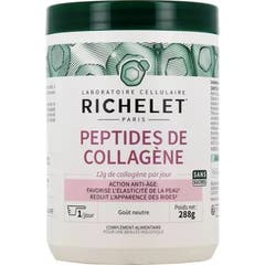 Richelet Péptidos de Colágeno 288g