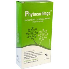 PhytoResearch Phytocartilage 60 Softgel