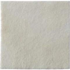 Biatain Pans Alginato 10X10Cm 10