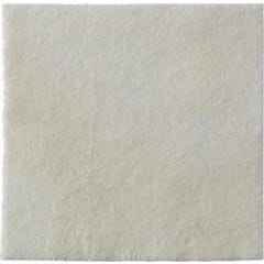 Biatain-Pfannen Alginat 10X10Cm 10