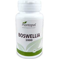 PlantaPol Boswelia 2000 30 caps
