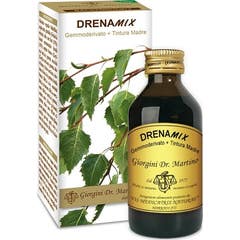 DRENAMIX FLÜSSIG ANTIK 100ML