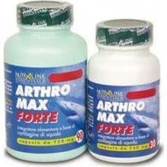 ARTHROMAX FORTE 90CPS