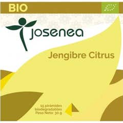 Josenea Jengibre Citrus BIO 15 pirámides en sobre