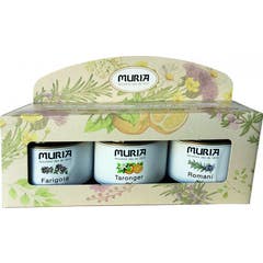 Terpenic Pulsera de Citronela Emotics Gafas de Sol 1ud