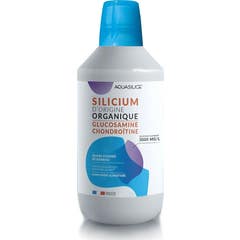 Aquasilice Silizium Glucosamin Chondroitin 1000ml