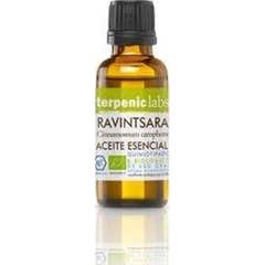 Terpenic Essence Ravintsara Bio 30ml