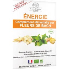 Elixirs & Co Énergie Fleurs de Bach 20amp