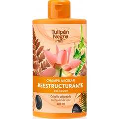 Tulipan Negro Champú Micelar Reestructurante del Color 400ml