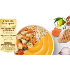 Nestlé Ressource Truthahn, Reis und Karottenpüree 300g