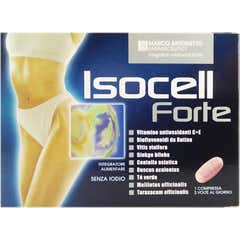 Marco Antonetto Isocell Forte 40comp