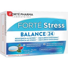 Forte Pharma Fort Stress 24 uur 15 tabletten
