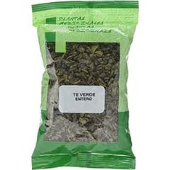 Plameca Plantas Medicinales Tè Verde 100g